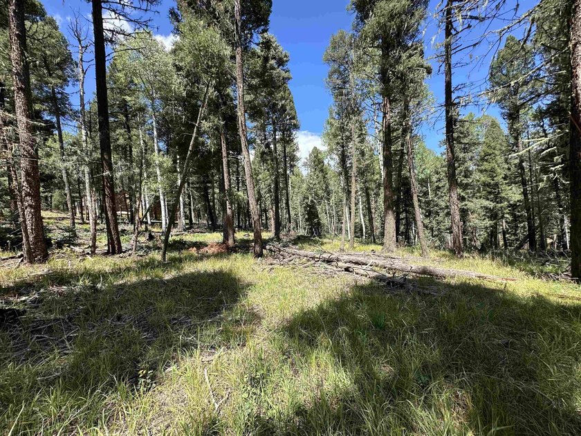 Close proximity to Monte Verde Lake. This mountain lot has all - photo 5