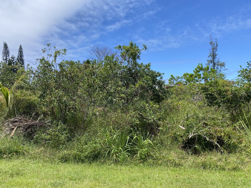 2nd to the last lot on this dead end street in Hawaiian Shores - photo 6