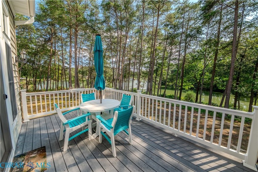 this waterfront condo has one of the best views in Chesapeake - photo 23