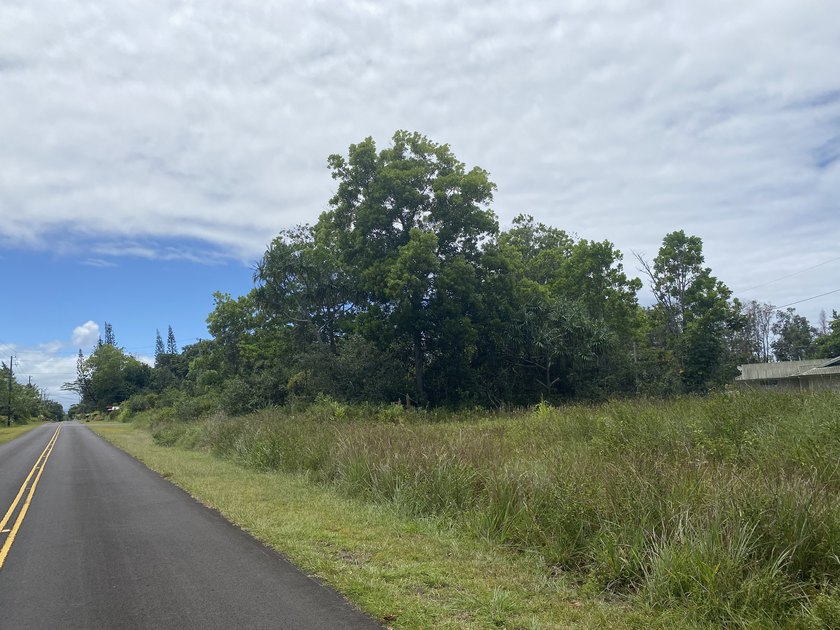 Unique lot with access from 2 streets, Kahala St and Kumu St - photo 8