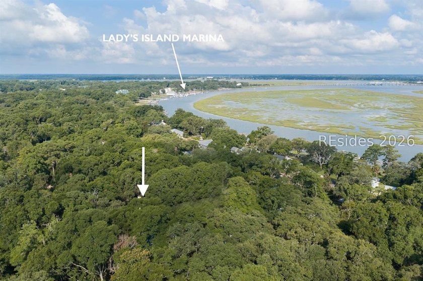 Located on Lady's Island, this two story home has a traditional - photo 41