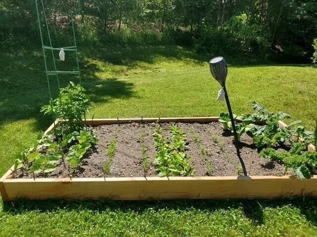 Beautifully sited house on 2.3 acres of fruit trees and gardens - photo 30