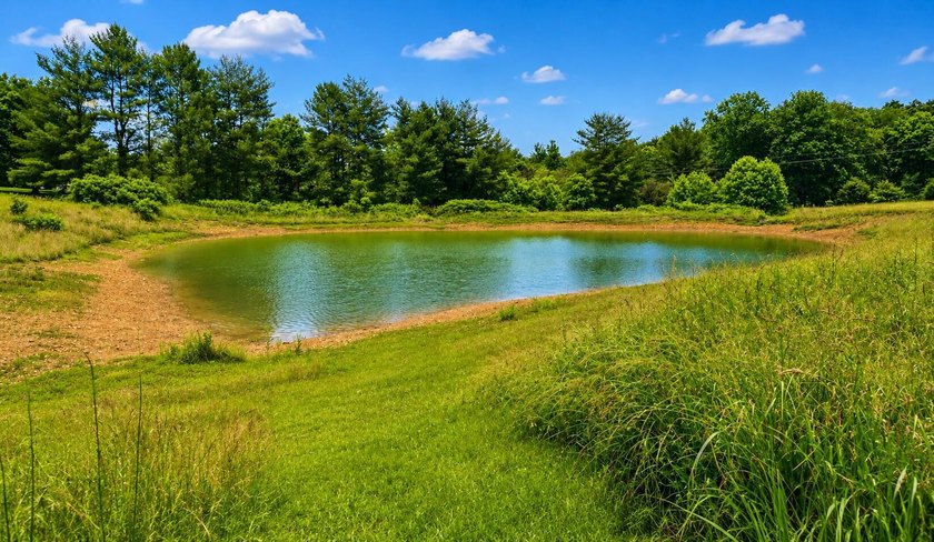 Nestled on 8 beautiful acres in Eubank, Kentucky, this charming - photo 3
