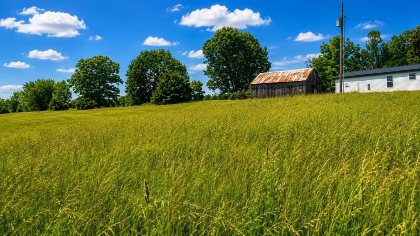 Nestled on 8 beautiful acres in Eubank, Kentucky, this charming - photo 9