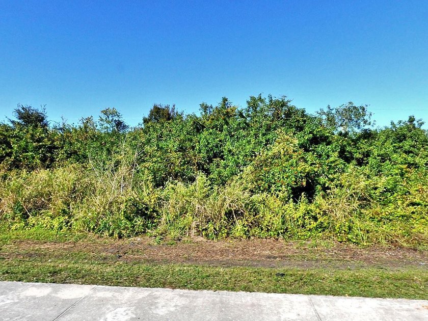 Build your dream home or invest in one of Florida's - photo 3
