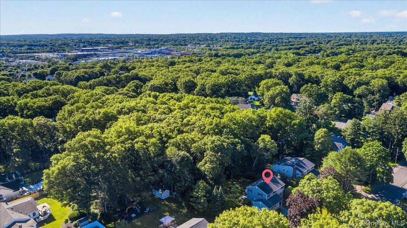 Beautifully Updated Colonial in the Heart of St. James Nestled - photo 6