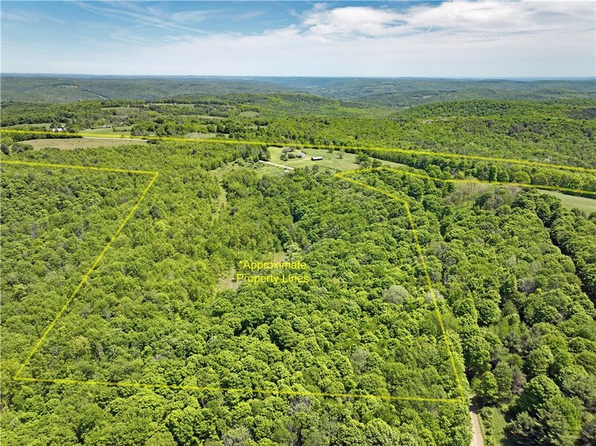 A rare offering of 132 acres of mostly wooded flat land nestled - photo 38