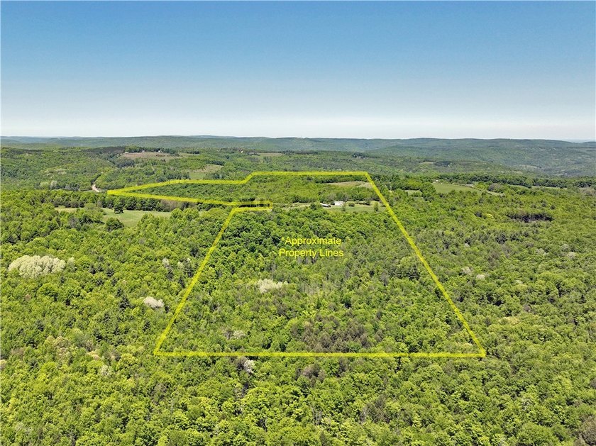 A rare offering of 132 acres of mostly wooded flat land nestled - photo 39