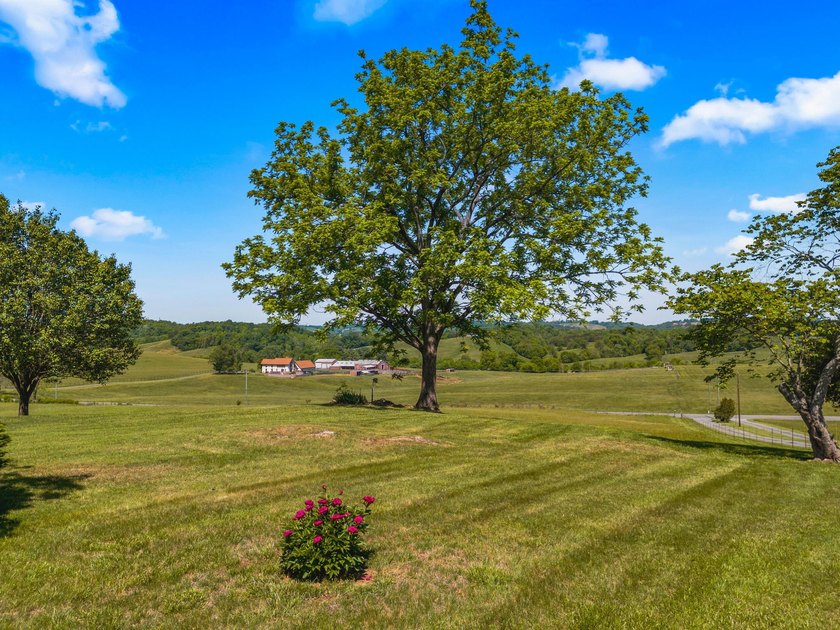 Welcome home to 1456 C H Rankin Road in White Pine -- a rare - photo 44