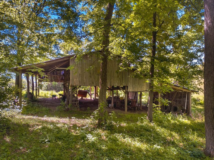 Welcome home to 1456 C H Rankin Road in White Pine -- a rare - photo 48