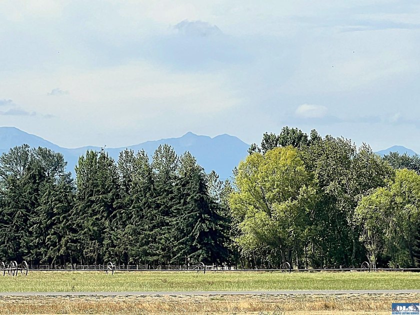 Fly for business or pleasure! This beautiful property with - photo 14