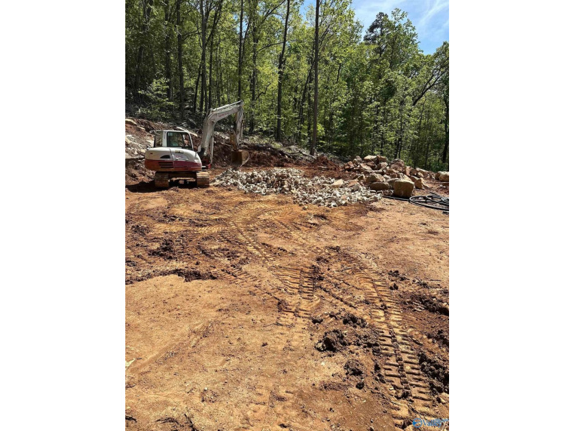 WATERFRONT AND 6.48+/- ACRES!! Dirt work completed including - photo 11