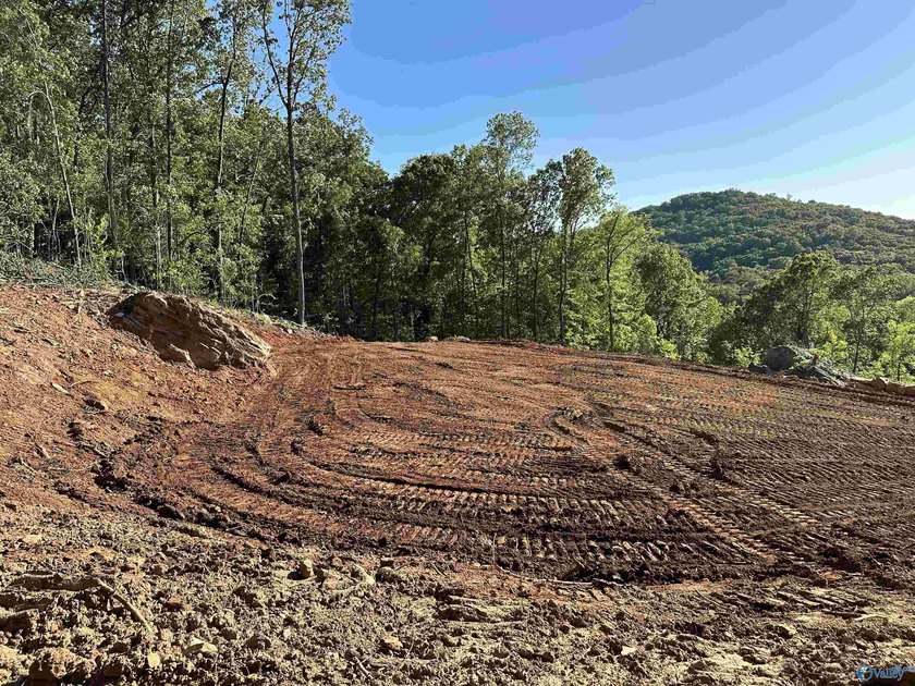 WATERFRONT AND 6.48+/- ACRES!! Dirt work completed including - photo 14