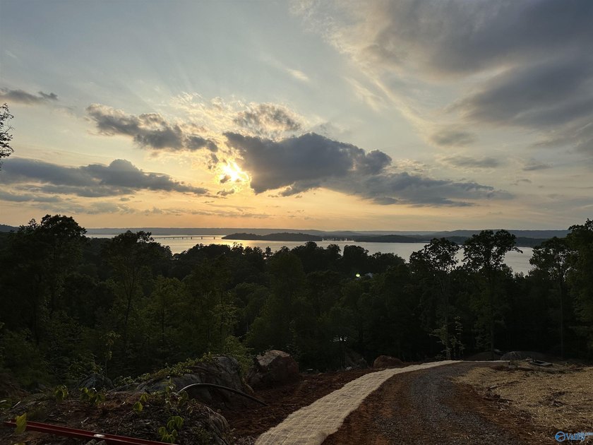 WATERFRONT AND 6.48+/- ACRES!! Dirt work completed including - photo 15