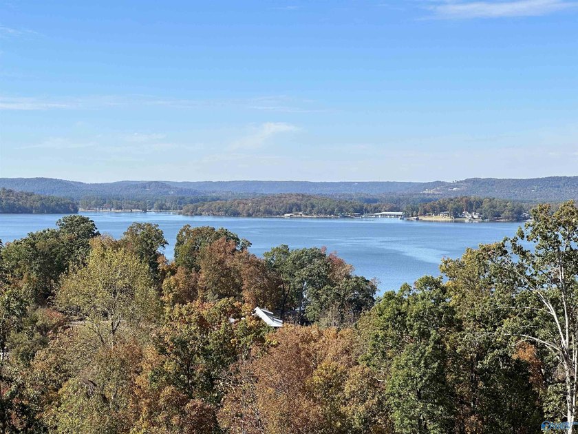 WATERFRONT AND 6.48+/- ACRES!! Dirt work completed including - photo 18