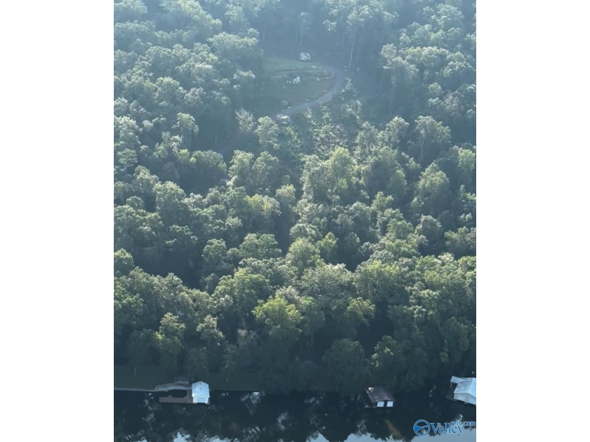 WATERFRONT AND 6.48+/- ACRES!! Dirt work completed including - photo 20