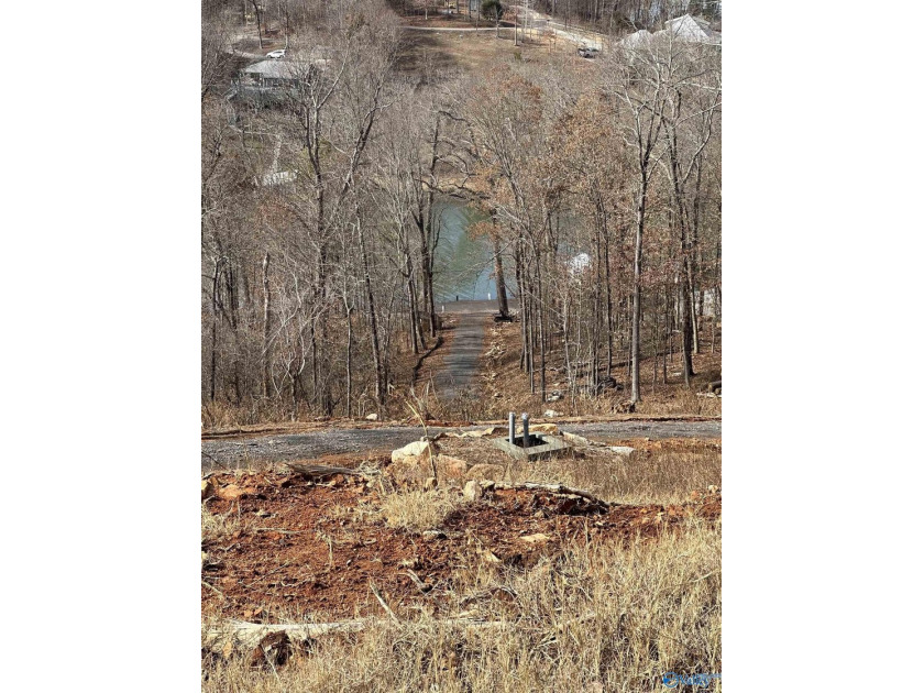WATERFRONT AND 6.48+/- ACRES!! Dirt work completed including - photo 21
