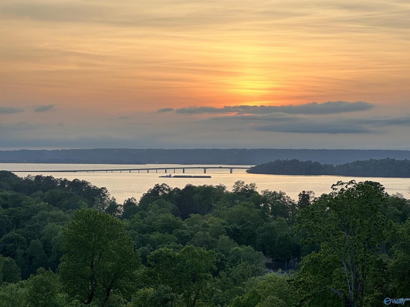 WATERFRONT AND 6.48+/- ACRES!! Dirt work completed including - photo 23