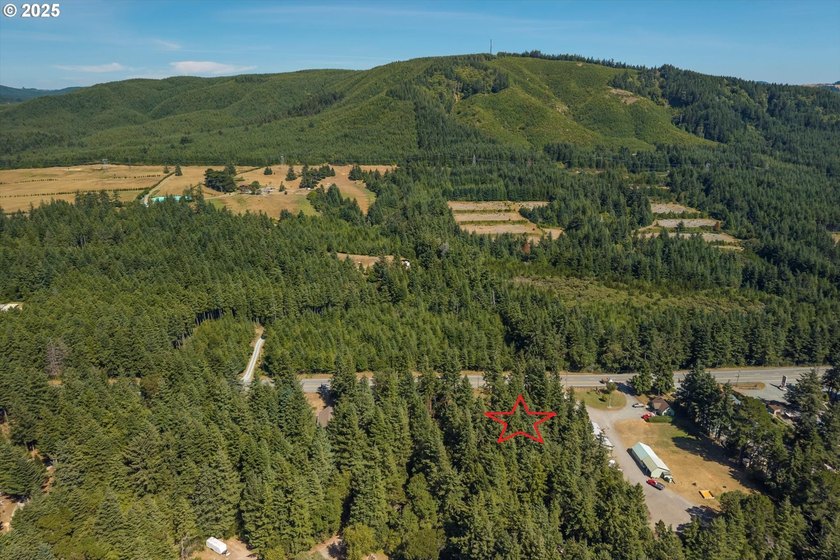 BANDON COMMERCIAL ACRE with 206 feet of Highway 101 frontage - photo 11