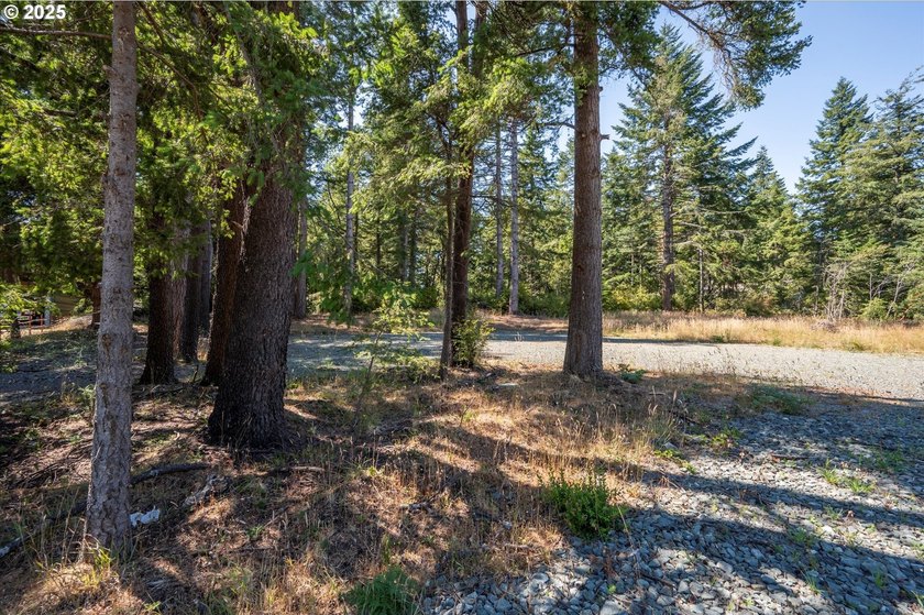 BANDON COMMERCIAL ACRE with 206 feet of Highway 101 frontage - photo 21