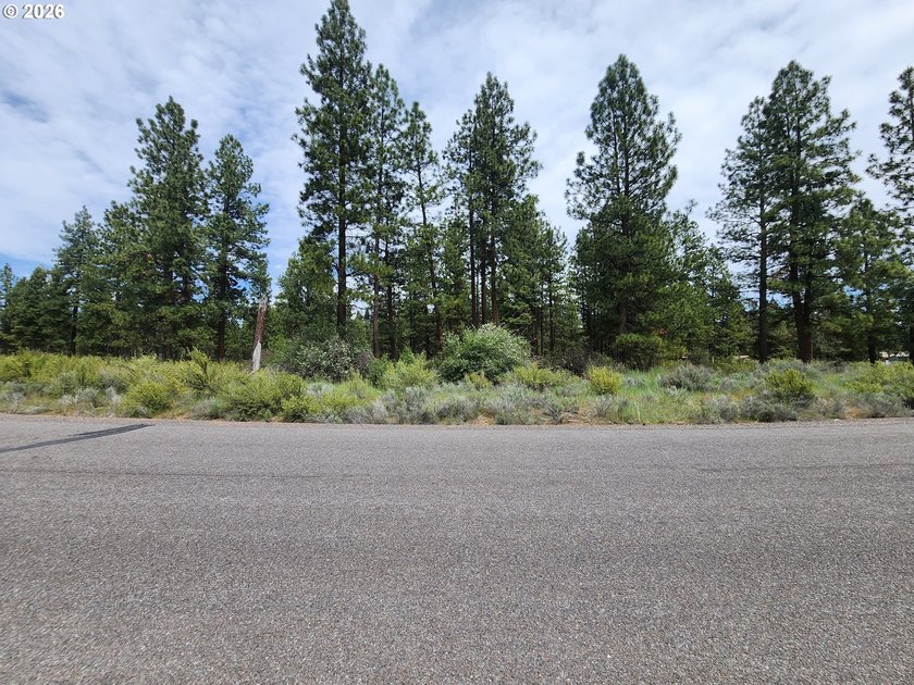 Discover the charm of this 2-acre corner lot in Klamath County - photo 4