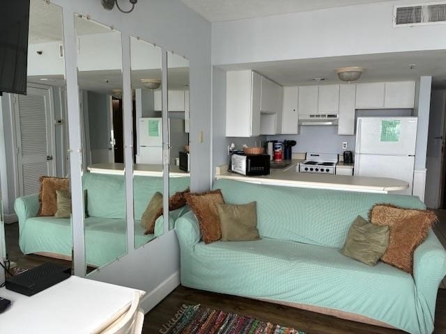 Oceanview sun-suite; full kitchen. Oceanfront resort with - photo 5