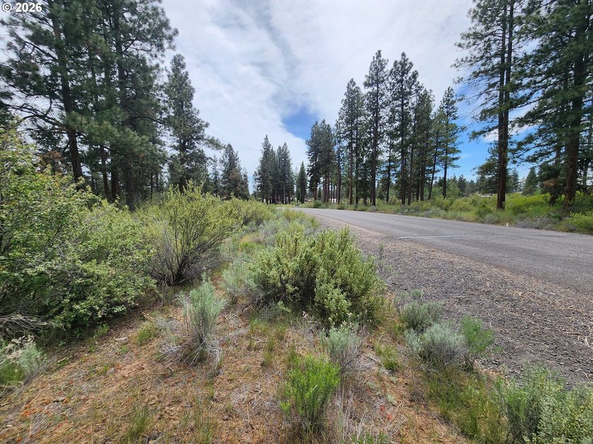 Discover the charm of this 2-acre corner lot in Klamath County - photo 5