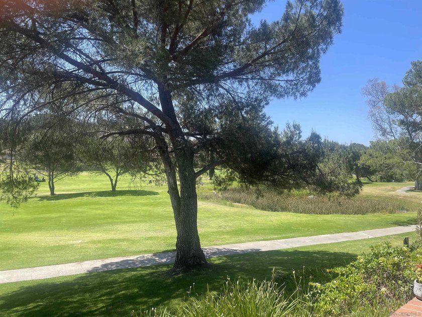 Want Views? Love Golf Views? Beautiful Senior Living, perfect - photo 5