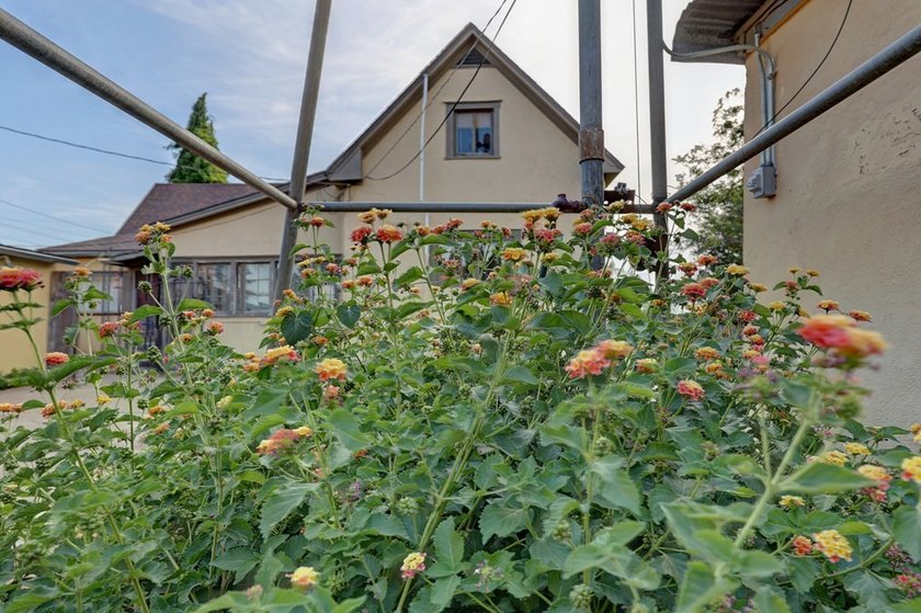 Built in 1920, this historic 2 story home offers 3,011 sqft of - photo 14