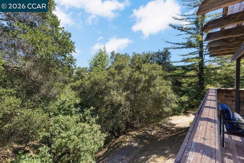 Tucked among the trees in the highly sought-after Orinda Woods - photo 33