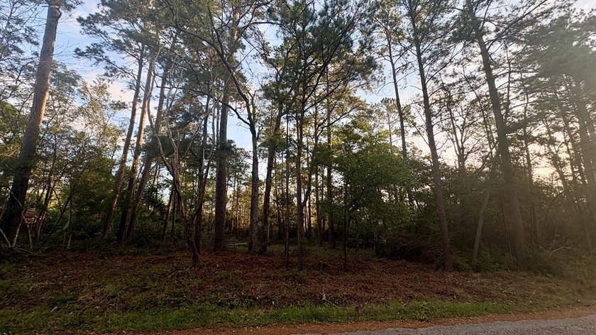 The City of Ivanhoe is located in Tyler County, Texas, and is - photo 3