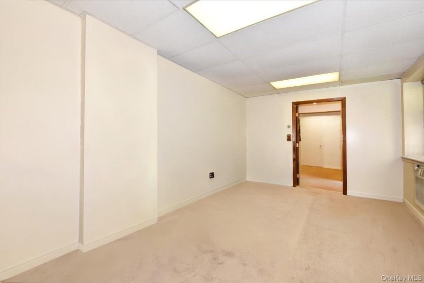 GREAT NECK 11021 - OFFICE or RESIDENTIAL Space!! // Unique co-op - photo 10