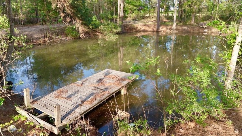 Nestled on approximately 36.5 acres in Gordon, Alabama, this - photo 2
