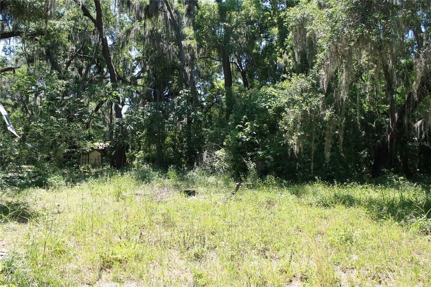 REDUCED to SELL!   Large lot with well &amp; septic (not guaranteed) - photo 11