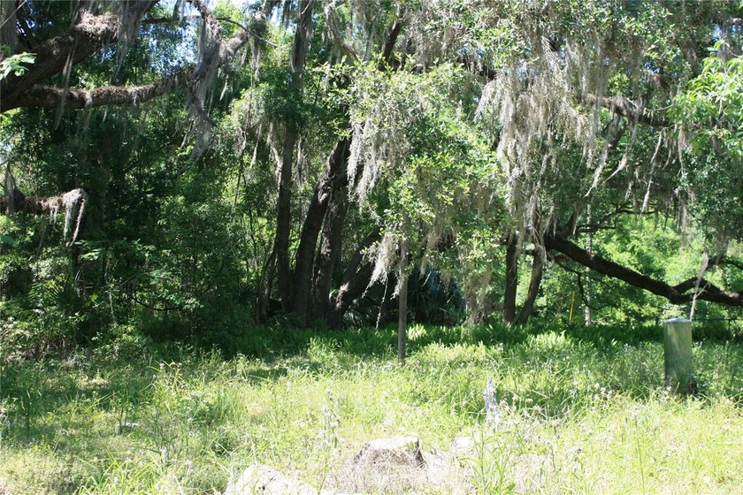 REDUCED to SELL!   Large lot with well &amp; septic (not guaranteed) - photo 13