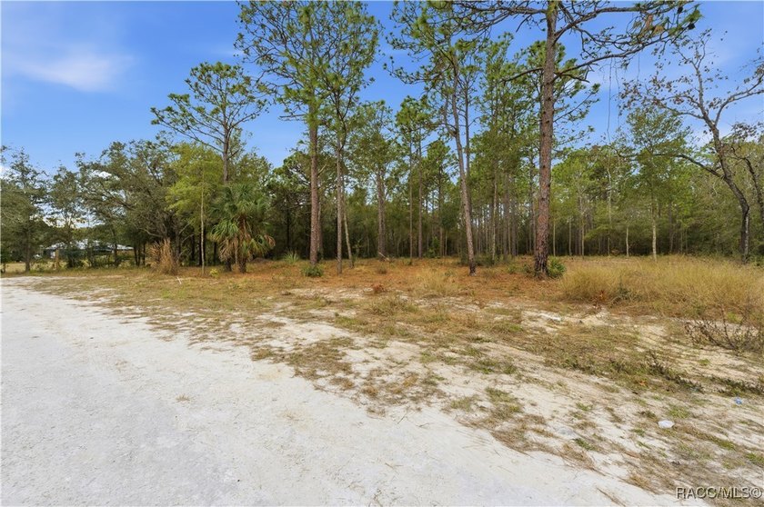 Nestled in a quiet, secluded setting, this .69-acre parcel in - photo 11