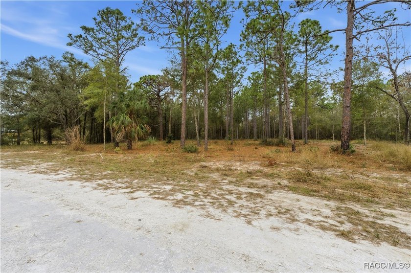 Nestled in a quiet, secluded setting, this .69-acre parcel in - photo 12