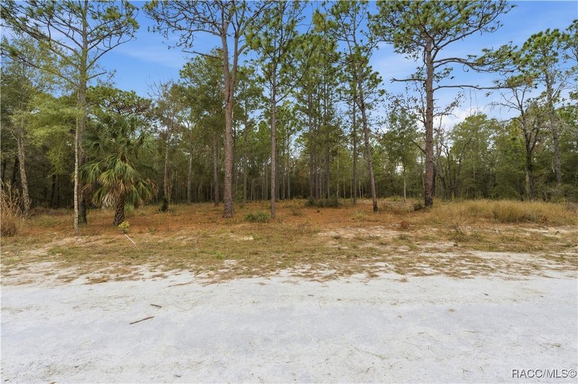 Nestled in a quiet, secluded setting, this .69-acre parcel in - photo 13