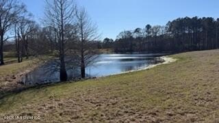 Welcome to 5192 Bean Rd in the Gilllsburg community! The 45 - photo 21