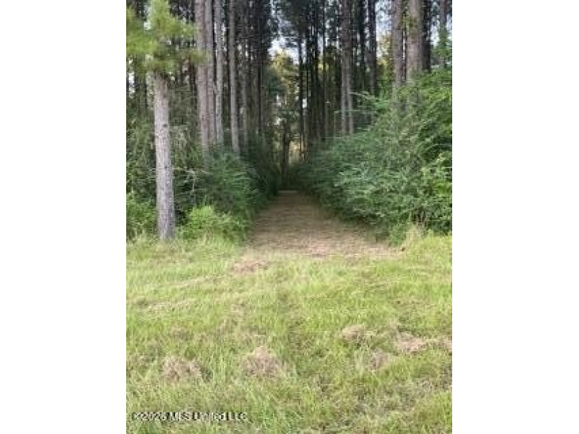 Welcome to 5192 Bean Rd in the Gilllsburg community! The 45 - photo 27