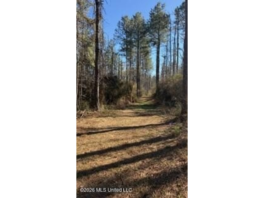 Welcome to 5192 Bean Rd in the Gilllsburg community! The 45 - photo 28