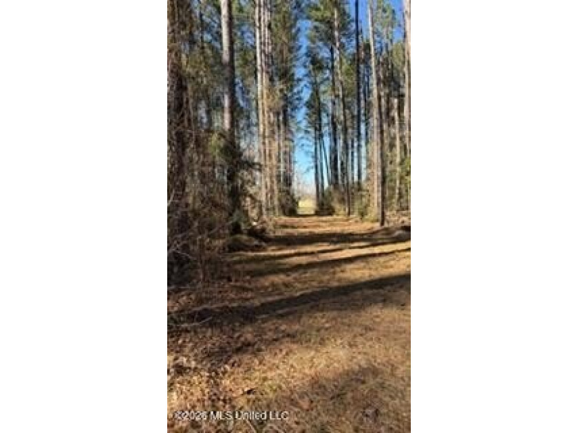 Welcome to 5192 Bean Rd in the Gilllsburg community! The 45 - photo 29