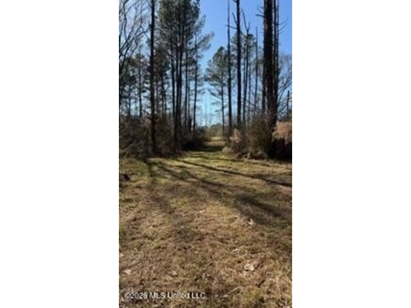 Welcome to 5192 Bean Rd in the Gilllsburg community! The 45 - photo 30