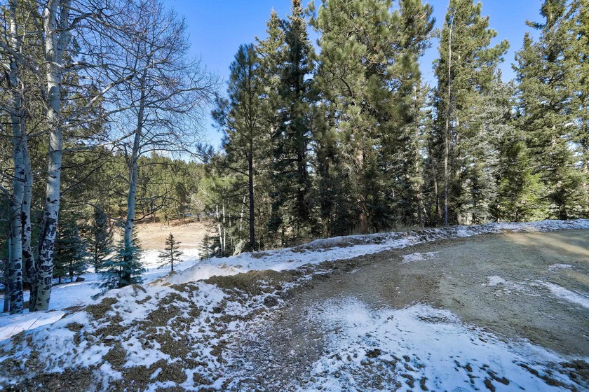 Located at the end of a quiet cul-de-sac, this homesite boasts - photo 5
