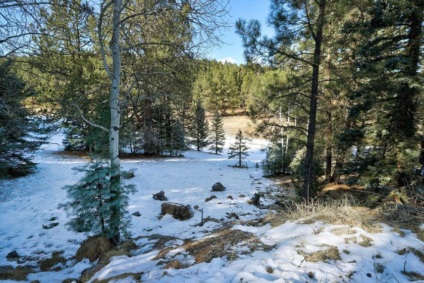 Located at the end of a quiet cul-de-sac, this homesite boasts - photo 6