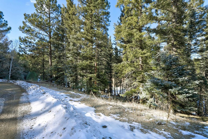 Located at the end of a quiet cul-de-sac, this homesite boasts - photo 7