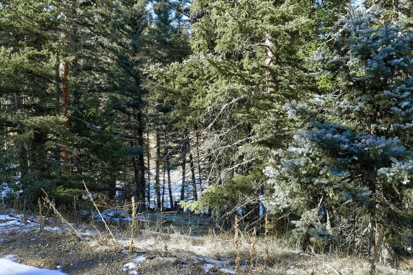 Located at the end of a quiet cul-de-sac, this homesite boasts - photo 9