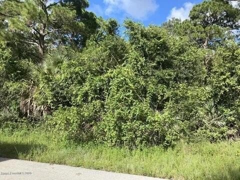 Zoned commercial residential city water 1.10 acres great for - photo 4