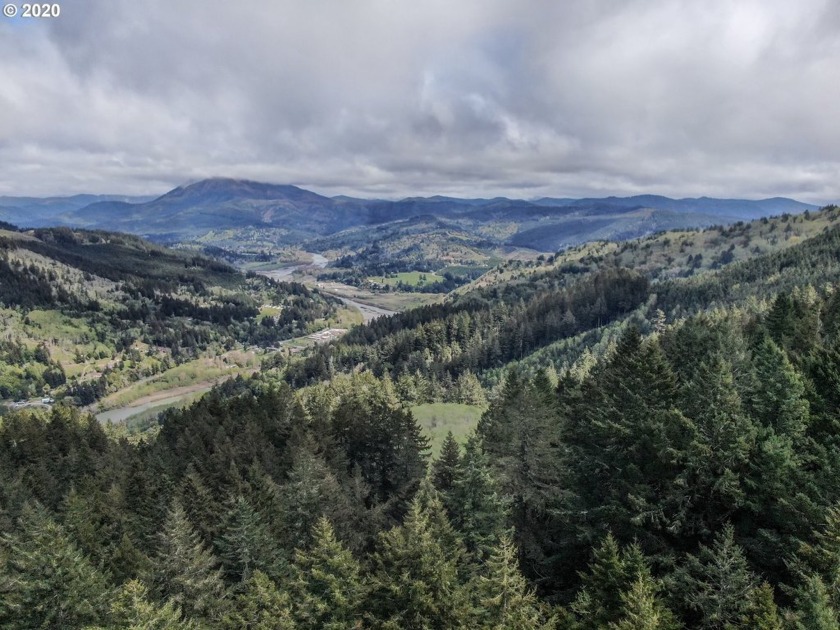Bring your plans and build your dream home on the top of Crown - photo 3