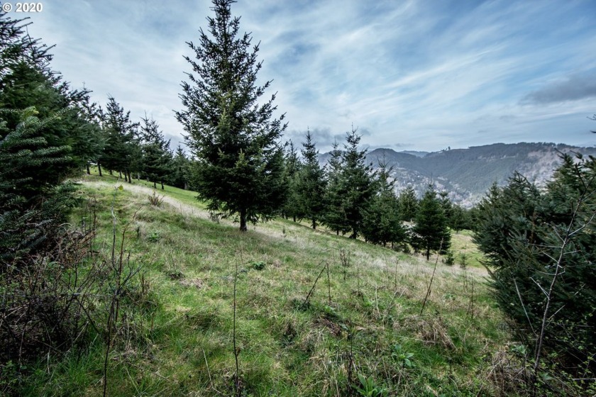 Bring your plans and build your dream home on the top of Crown - photo 8